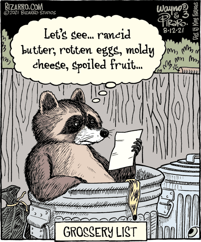 Small to medium-sized cats OCR: BIZARRO.COM ©2021 BIZARRO STUDIOS Wayno R?RO. 8.12-21 Let's see. ramcid butterSpoiled fruit. GROSSERY LIST Dist ly King Features BIZARRO.COM ©2021 BIZARRO STUDIOS Wayno R?RO. 8.12-21 Let's see. ramcid butterrotten eggsmoldy mSpoiled fruit. GROSSERY LIST Dist ly King Features