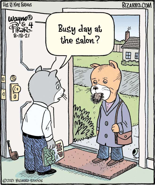 Rectangle OCR: Dist Y King Features BIZARRO.COM wayno® Busy day at the salon? 8.18-21 ?? © 2021 BIZARRO STUDIOS [NIP Dist Y King Features BIZARRO.COM wayno® Busy day at the salon? 8.18-21 ?? © 2021 BIZARRO STUDIOS [NIP