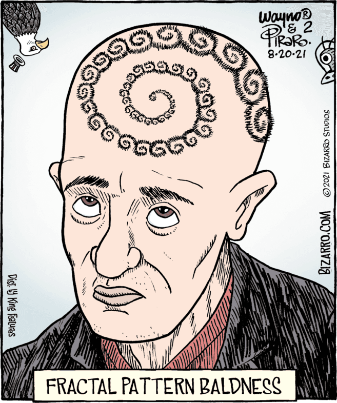 Mouth OCR: Wayno® PiRaRo. 8.20-21 FRACTAL PATTERN BALDNESS Dist 9 King features BIZARRO.COM ©2021 BIZARRO STUDIOS Wayno® PiRaRo. 8.20-21 FRACTAL PATTERN BALDNESS Dist 9 King features BIZARRO.COM ©2021 BIZARRO STUDIOS