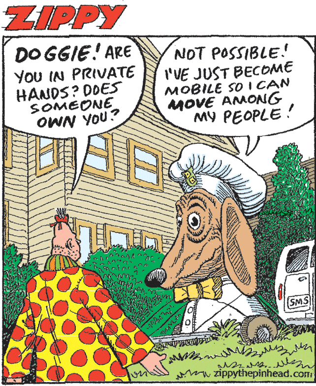 Zippy The Pinhead - Part 1 - 2021-08-26