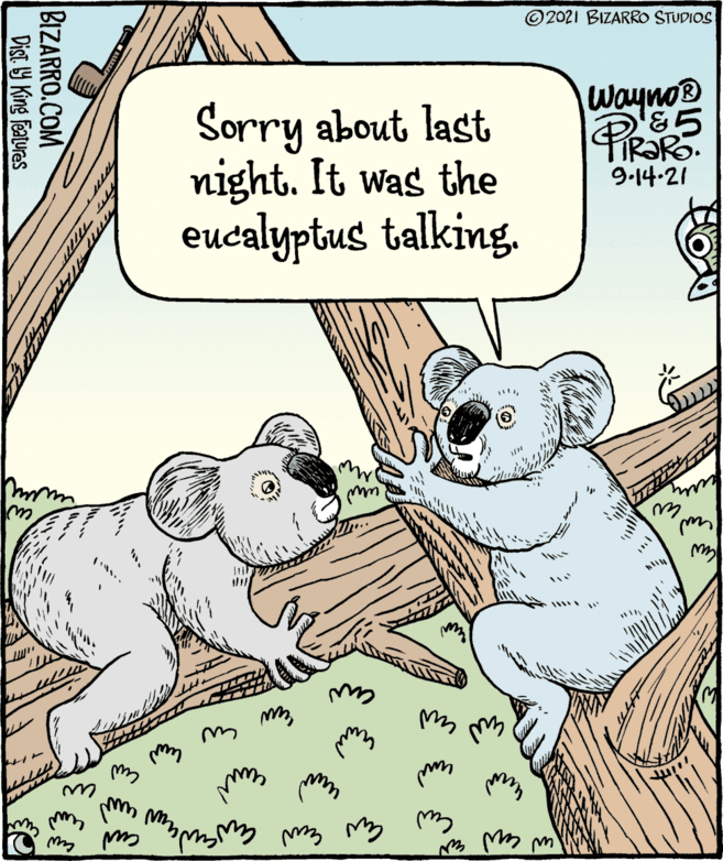Illustration OCR: © 2021 BIZARRO STUDIOS Wayno &5 PiRaro Sorry about last night. It was the eucalyptus talking. 9.14-21 Ew w BIZARRO.COM Dist Y King Features © 2021 BIZARRO STUDIOS Wayno &5 PiRaro Sorry about last night. It was the eucalyptus talking. 9.14-21 Ew w BIZARRO.COM Dist Y King Features